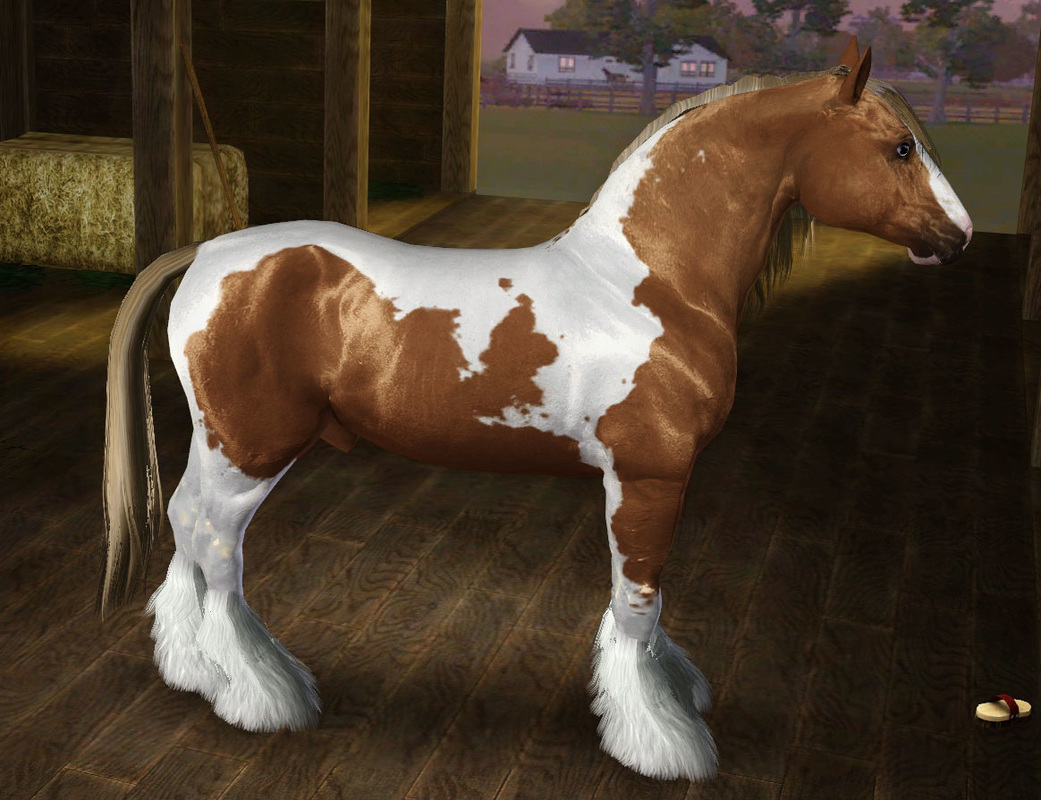 cath-cc-cc-for-your-equines-horse-breed-templates